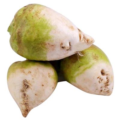 福月安大头芥菜疙瘩新鲜现挖