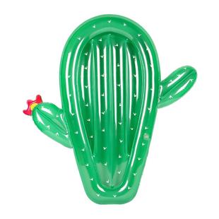 AirMyFun仙人掌游泳圈男女成人充气泳圈加厚大号水上浮床网红浮排