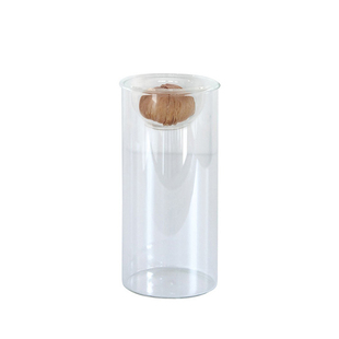 日式多肉植物水养玻璃花瓶绿萝水培绿植风信子插花器家居装饰摆件