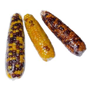 包邮仓鼠磨牙棒小玉米零食小玉米金丝熊花枝鼠兔子龙猫磨牙玉米棒