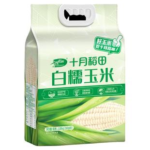 十月稻田白糯玉米低脂大棒黏苞米260gx8真空装包装袋粘糯香大棒
