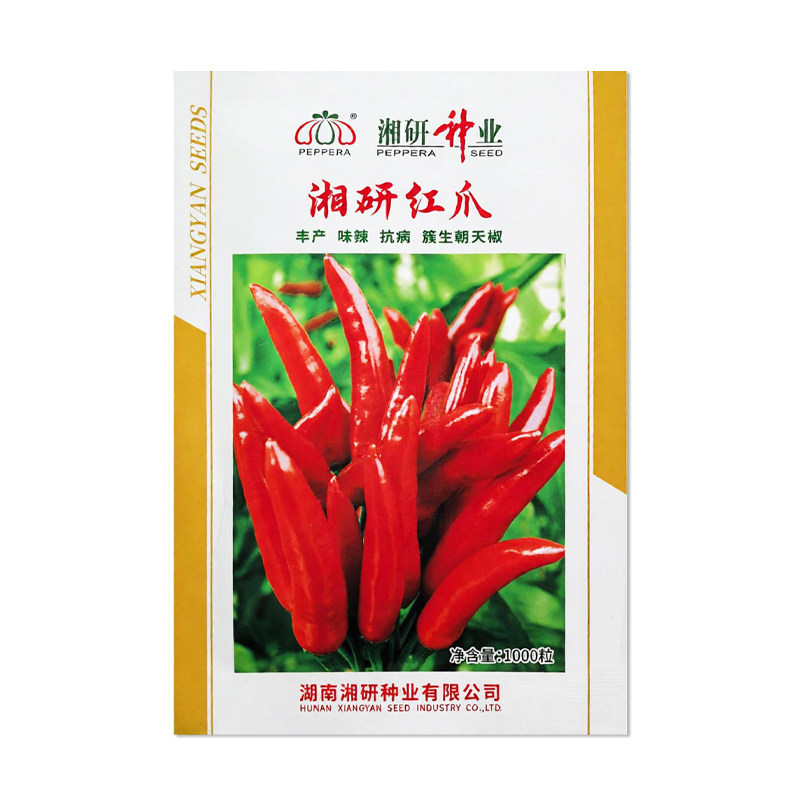 湘研红爪辣椒种子簇生朝天椒