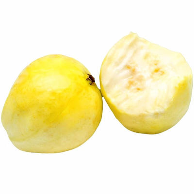 广西番石榴白心芭乐5斤