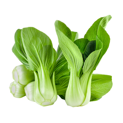 上海青菜种籽大全四季小鸡毛菜种子耐寒耐高温矮脚奶白菜蔬菜种孑