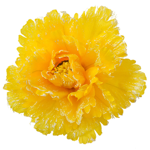 舞蹈道具花幼儿童跳舞表演手花手拿花牡丹花伞演出道具花朵广场舞