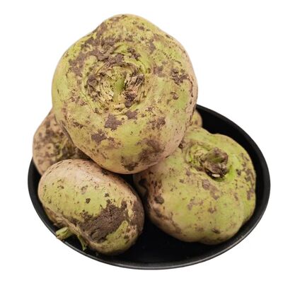 新疆恰玛古碱性新鲜现挖蔬菜