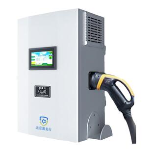 北京源龙行3C认证新能源车九孔直流快充家商用英飞源模块充电桩