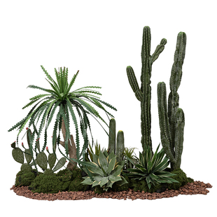 仿真沙漠绿植仙人掌造景室内仙人掌热带植物景观橱窗楼梯下装饰品