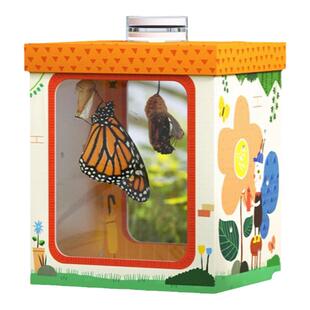 儿童蝴蝶蛹孵化观察盒 科学观察破茧成蝶小宠物观察盒 学生可饲养