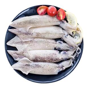 大号生皮海兔生无籽笔管新鲜海鲜笔管鱼笔管蛸海兔乌贼500克/包