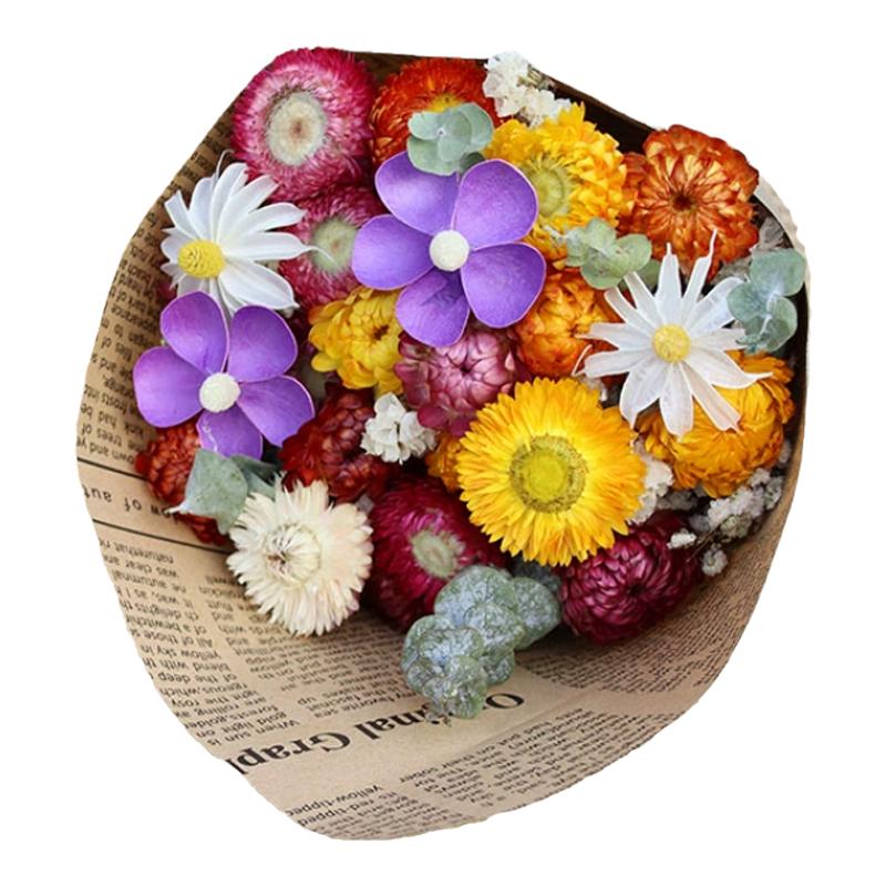 太阳花花束昆明干花真花花束生日花束家具装饰摆件植物干花