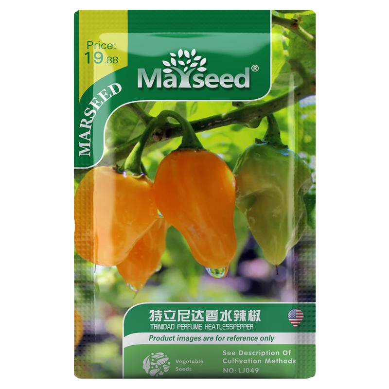 【新品推荐】进口传家宝特立尼达香水辣椒四季种植盆栽蔬菜种子籽