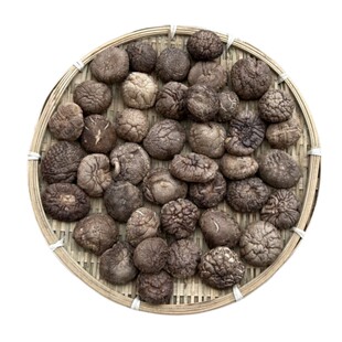 浓香型香菇干货 农家厚肉金钱菇冬蘑菇无根食用菌500克煲炖汤年货