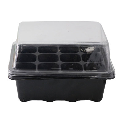12孔透明加厚塑料育苗盒
