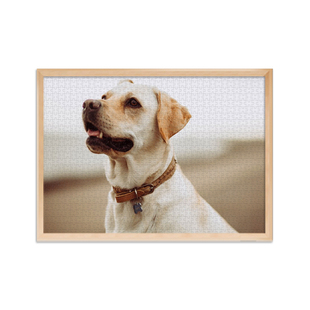 白卡拼图1000片动宠物狗狗照片定制幼犬画像带框博美3金毛柯基5