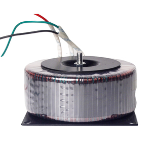 环形自耦纯铜变压器220v转110v变220变380v转220v200w300w500订制