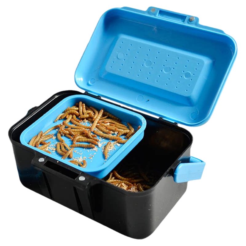 透气小盒发货面包虫黄粉虫活体蜘蛛蝎子乌龟守宫角蛙鸟活饵饲料