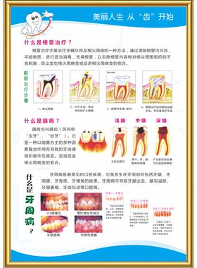 牙科挂图知识宣传画口腔诊所烤瓷牙解剖图海报规章制度KT板定制