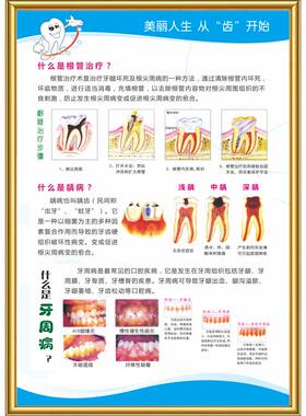 牙科挂图知识宣传画口腔诊所烤瓷牙解剖图海报规章制度KT板定制