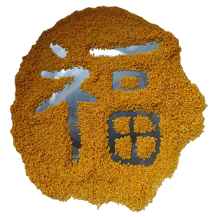 山西太行山区农家肥自种沁州黄糙小米带糠小黄米石磨级胚胎黄小米