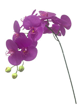 蝴蝶兰仿真花高档好看的塑料花