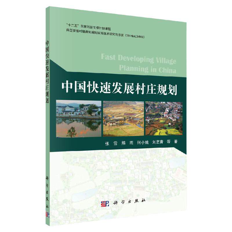 中国快速发展村规划