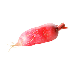 老不糠水萝卜种子甜脆红皮白肉红心水果罗卜种籽春秋季四季蔬菜孑