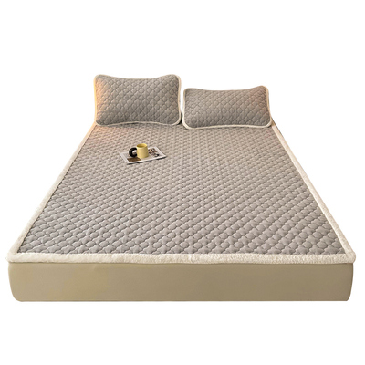 冬天加厚牛奶绒床垫软垫保暖防滑