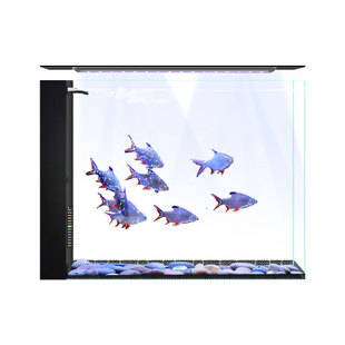 家用屏风缸客厅小型鱼缸桌面生态过滤水草缸超白玻璃侧滤热带鱼缸