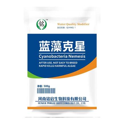 鱼塘蓝藻克星灭蓝藻净水青苔去除