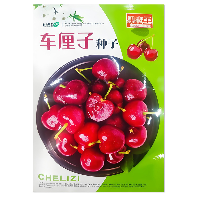 车厘子种子大樱桃种子