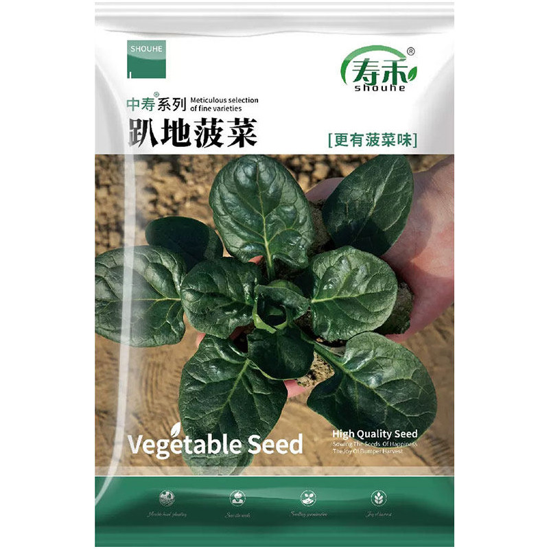 趴地菠菜种子四季种植蔬菜种子