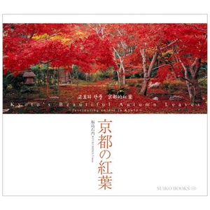 京都の紅葉 京都的红叶 风景景色旅游观光 摄影 日文原版