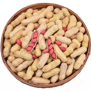 东北红皮花生2025年新货新鲜晒干四粒红花生米生熟小包装带壳年货
