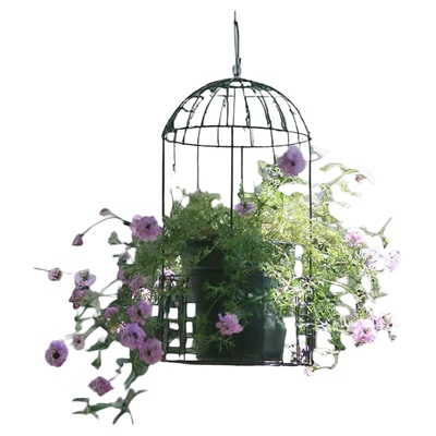 悬挂式吊盆铁艺百搭垂吊植物