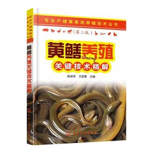 黄鳝养殖关键技术精解 黄鳝养殖技术书鳝鱼高效养殖技术水产疾病防治诊断水产养殖技术书籍大全人工饲养饲料配方手册鱼场科学管理