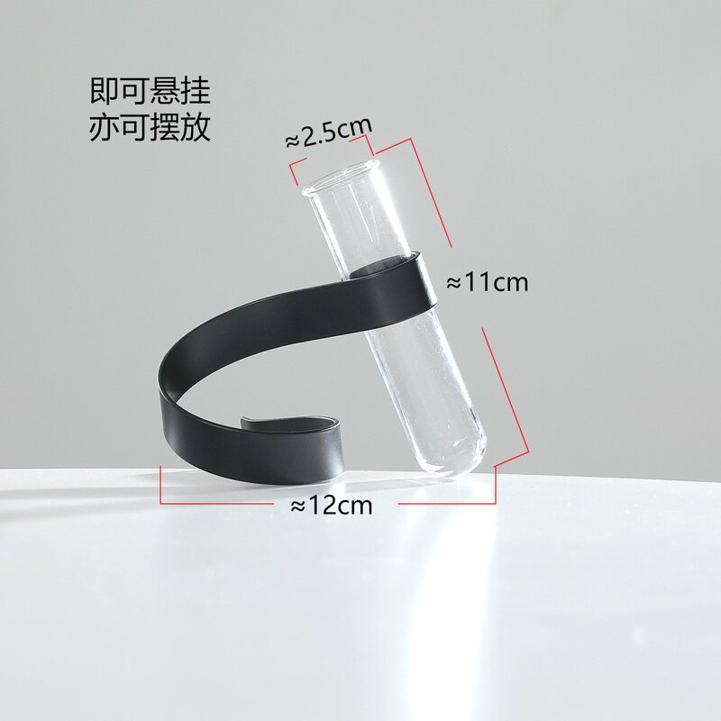创意玻璃水培植物花瓶摆件摆放批发花桌面客厅立斜试管悬挂铁艺器