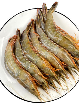 七条船舟山野生滑皮虾鲜活船冻粉壳带膏剑虾条虾海捕大虾冷冻顺丰