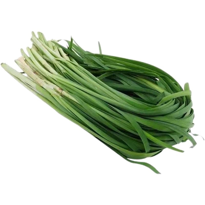 韭菜新鲜蔬菜现割现发鲜嫩头茬农家自种应季饺子馅菜1-5斤包邮