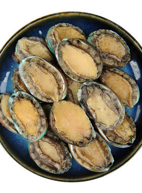纯色本味鲍鱼冷冻火锅食材
