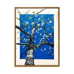 杏枝绽放-ins风景diy数字油画手绘填色治愈高级感装饰画手工艺术