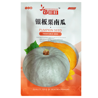 银栗南瓜种子白皮银栗香甜粉糯