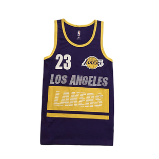 篮球联盟 湖人雄鹿爵士 速干运动背心 投篮服 训练球衣 球星背心