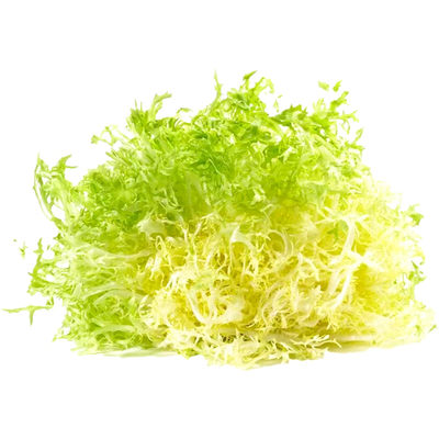 新鲜黄心苦叶 黄心苦菊生菜 狗牙生菜 黄九芽沙拉蔬菜250g