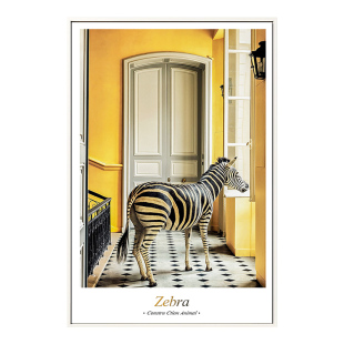 MRCOCO阳光斑马玄关画竖版过道挂画现代简约北欧走廊装饰画