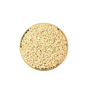 农家去皮优质新鲜大麦仁食用煮粥麦仁胚芽米五谷杂粮脱皮大麦仁粒