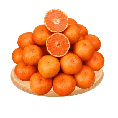 高山涌泉蜜桔无核无渣早熟宫川