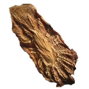 肉苁蓉新鲜内蒙阿拉善整根男性滋补泡酒中药材正品非特级锁阳野生