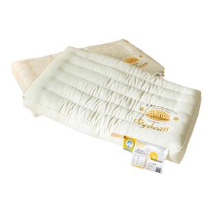 实体店款大豆纤维棉单只定型枕芯 立体中低款软硬适中枕头48*74cm