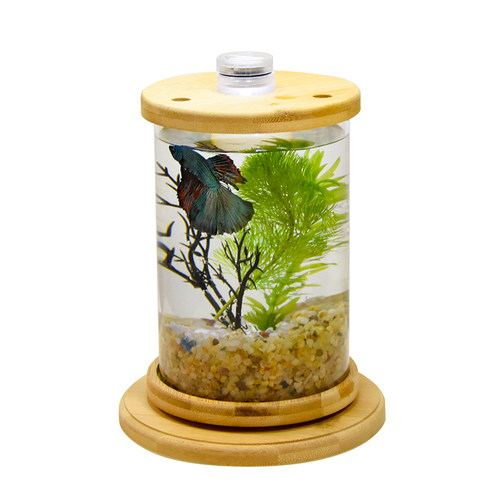 桌面旋转生态瓶观赏鱼斗鱼专用微景观生态缸免换水小型免打理鱼缸